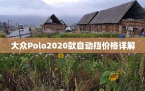 大众Polo2020款自动挡价格详解