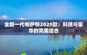 全新一代帕萨特2020款：科技与豪华的完美结合