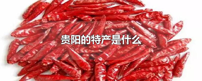 贵阳的特产是什么?(贵阳的特产是什么可以直接吃的)