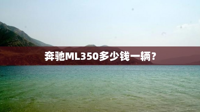 奔驰ML350多少钱一辆？