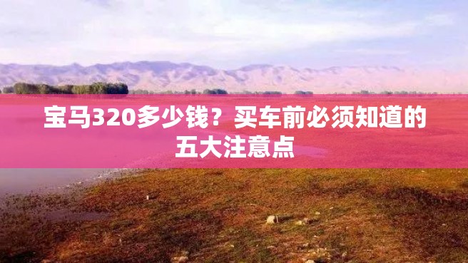 宝马320多少钱？买车前必须知道的五大注意点