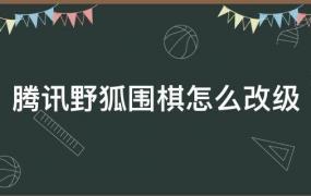 腾讯野狐围棋升级规则(野狐围棋改等级怎么改)