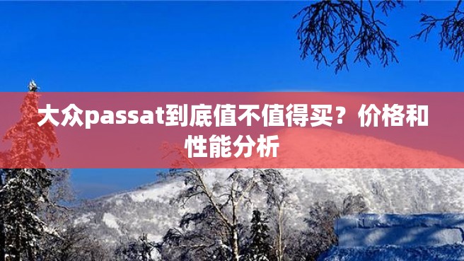 大众passat到底值不值得买？价格和性能分析