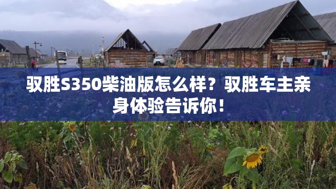 驭胜S350柴油版怎么样？驭胜车主亲身体验告诉你！