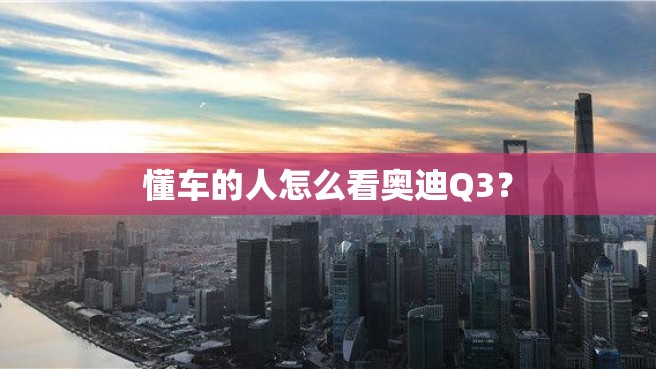 懂车的人怎么看奥迪Q3？