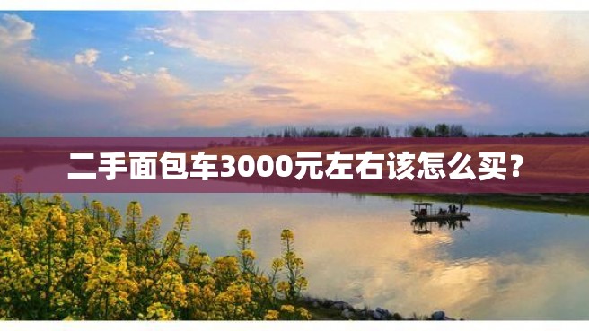 二手面包车3000元左右该怎么买？