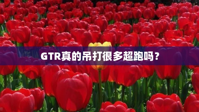 GTR真的吊打很多超跑吗？