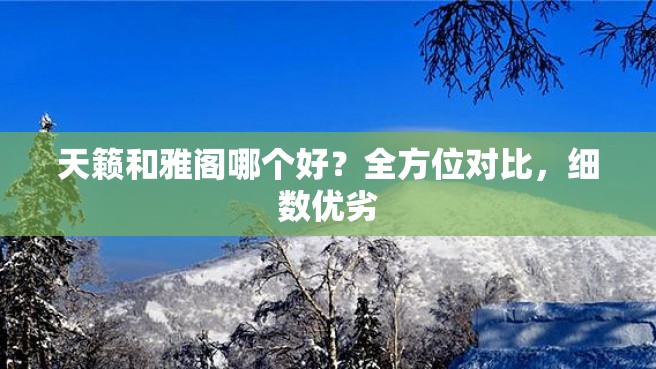 天籁和雅阁哪个好？全方位对比，细数优劣