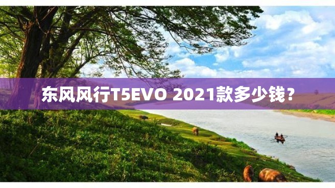 东风风行T5EVO 2021款多少钱？