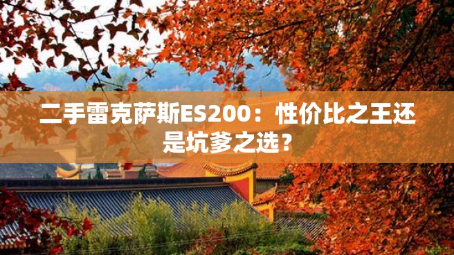 二手雷克萨斯ES200：性价比之王还是坑爹之选？