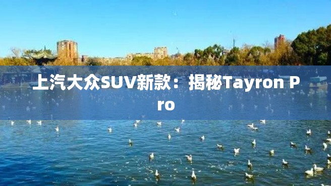 上汽大众SUV新款：揭秘Tayron Pro