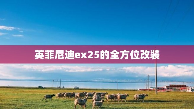 英菲尼迪ex25的全方位改装