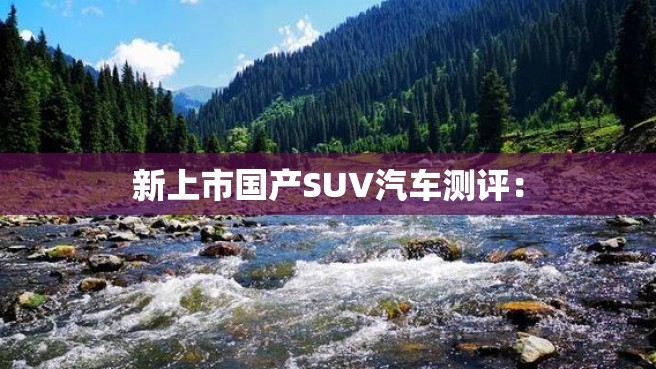 新上市国产SUV汽车测评：