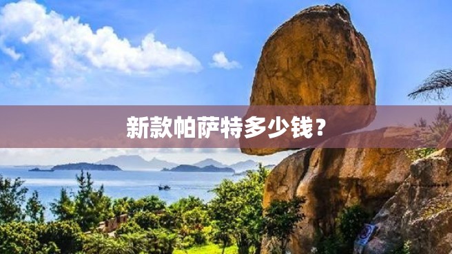 新款帕萨特多少钱？