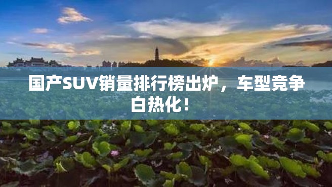 国产SUV销量排行榜出炉，车型竞争白热化！ 