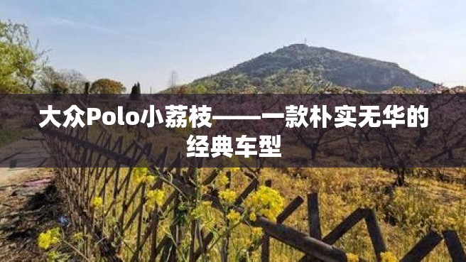 大众Polo小荔枝——一款朴实无华的经典车型