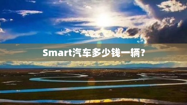 Smart汽车多少钱一辆？