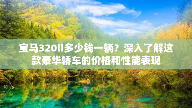 宝马320li多少钱一辆？深入了解这款豪华轿车的价格和性能表现