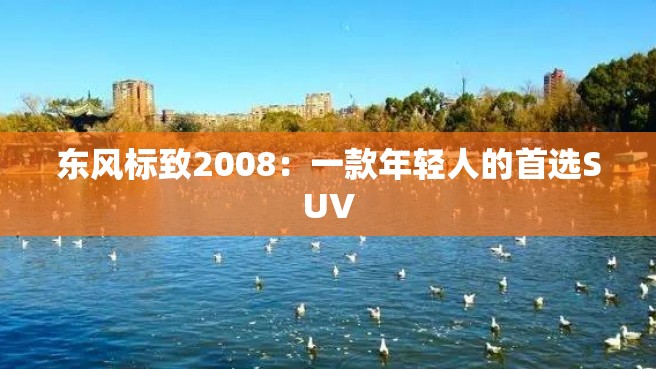 东风标致2008：一款年轻人的首选SUV