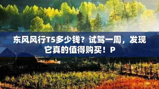 东风风行T5多少钱？试驾一周，发现它真的值得购买！P