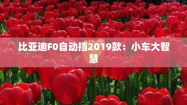 比亚迪F0自动挡2019款：小车大智慧