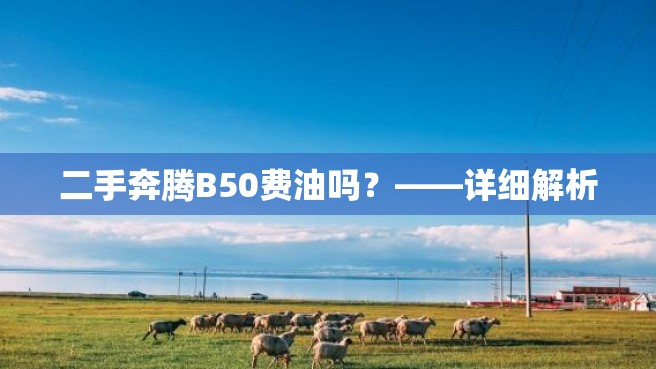 二手奔腾B50费油吗？——详细解析