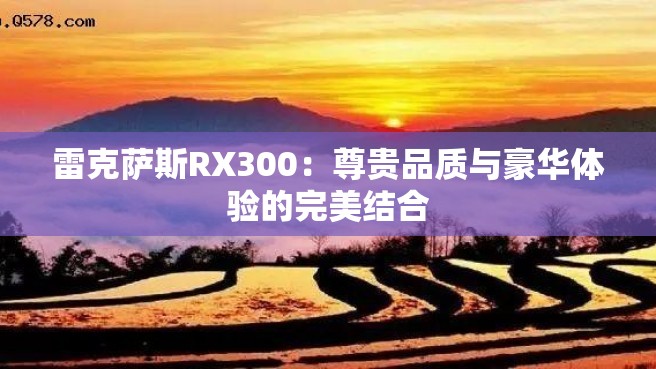 雷克萨斯RX300：尊贵品质与豪华体验的完美结合