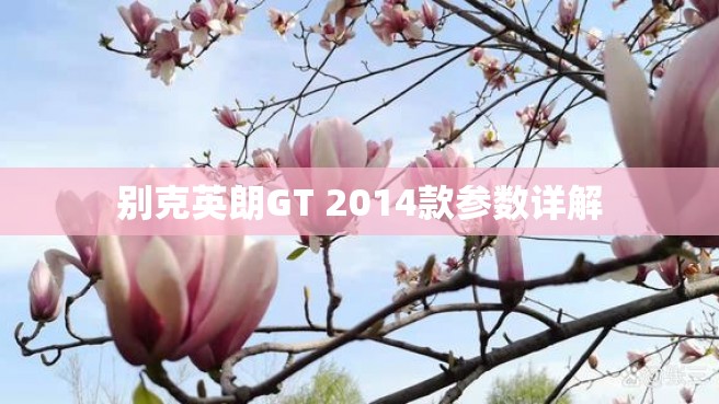 别克英朗GT 2014款参数详解