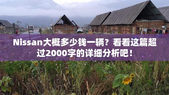 Nissan大概多少钱一辆？看看这篇超过2000字的详细分析吧！