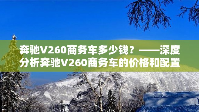 奔驰V260商务车多少钱？——深度分析奔驰V260商务车的价格和配置