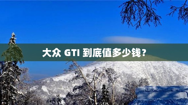 大众 GTI 到底值多少钱？