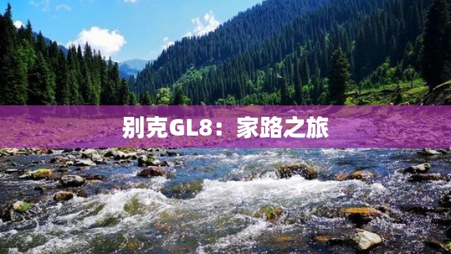 别克GL8：家路之旅