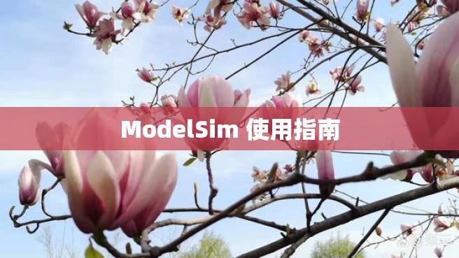 ModelSim 使用指南