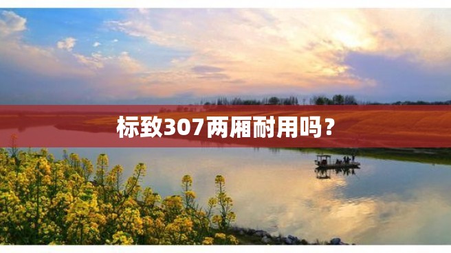 标致307两厢耐用吗？