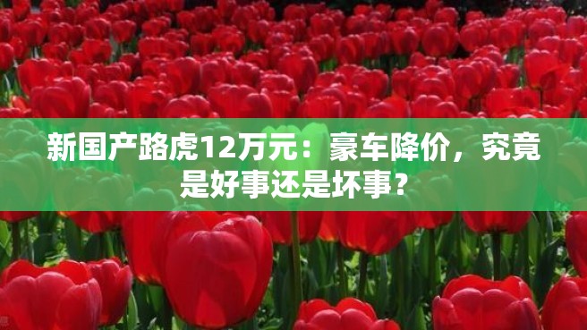 新国产路虎12万元：豪车降价，究竟是好事还是坏事？