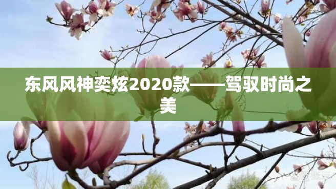 东风风神奕炫2020款——驾驭时尚之美