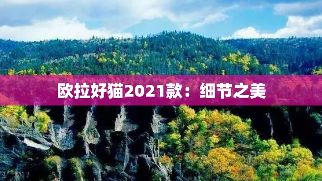 欧拉好猫2021款：细节之美