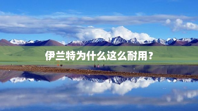 伊兰特为什么这么耐用？