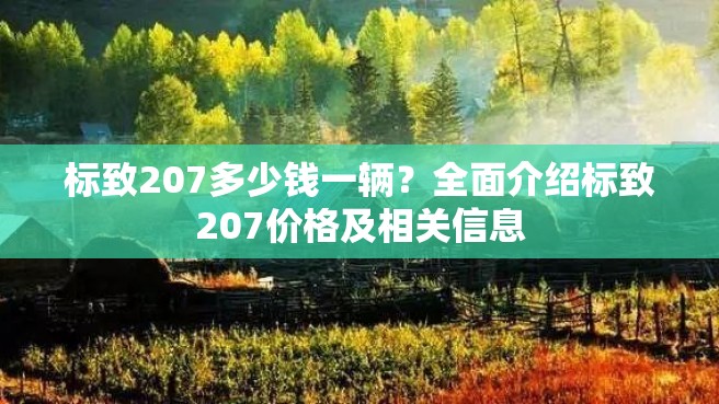 标致207多少钱一辆？全面介绍标致207价格及相关信息