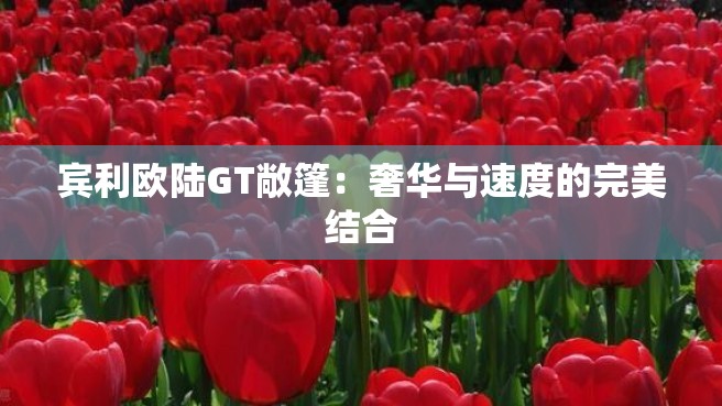 宾利欧陆GT敞篷：奢华与速度的完美结合