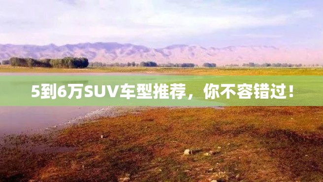 5到6万SUV车型推荐，你不容错过！