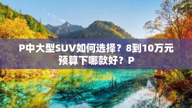 P中大型SUV如何选择？8到10万元预算下哪款好？P