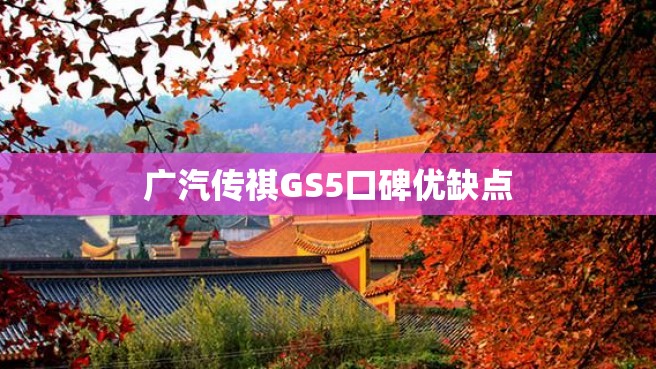 广汽传祺GS5口碑优缺点