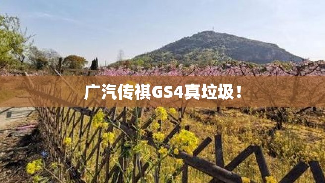 广汽传祺GS4真垃圾！