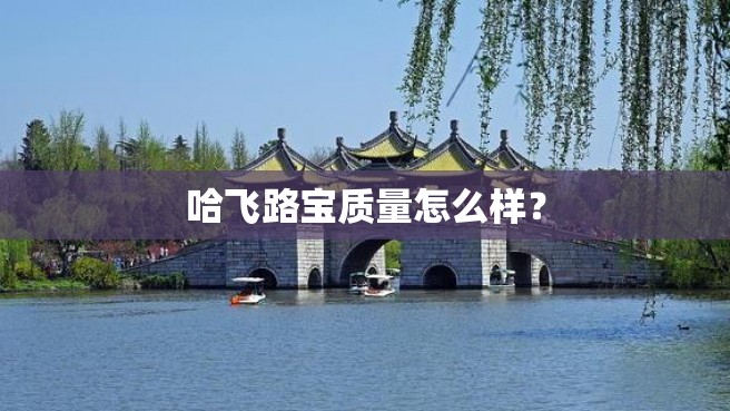 哈飞路宝质量怎么样？