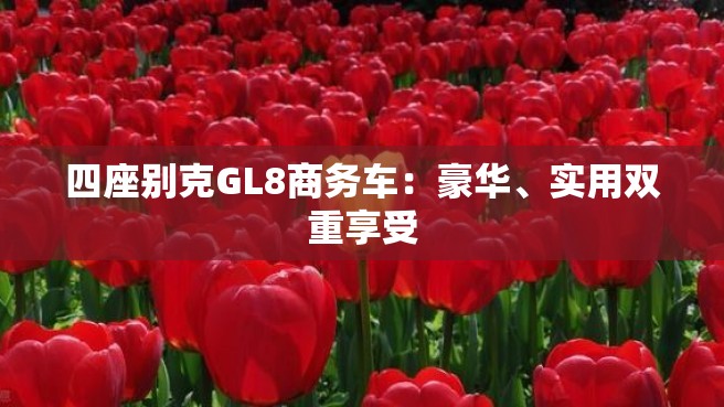 四座别克GL8商务车：豪华、实用双重享受