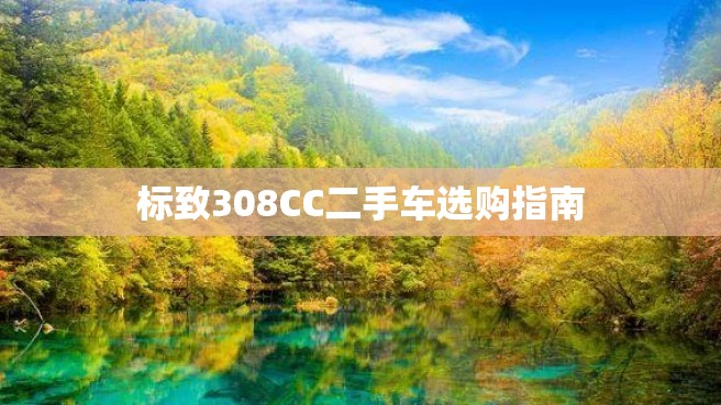 标致308CC二手车选购指南