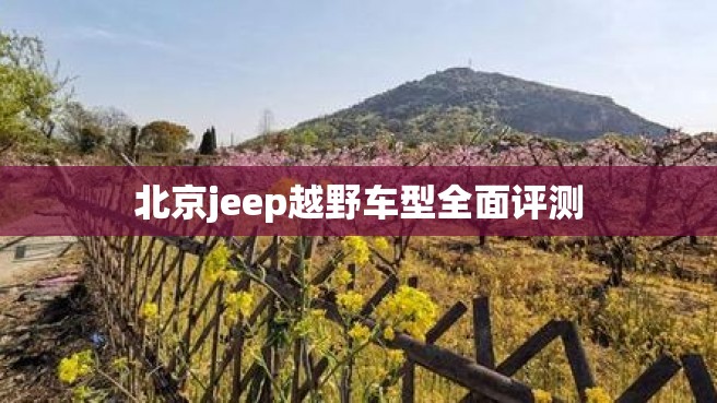 北京jeep越野车型全面评测