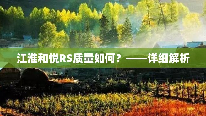 江淮和悦RS质量如何？——详细解析