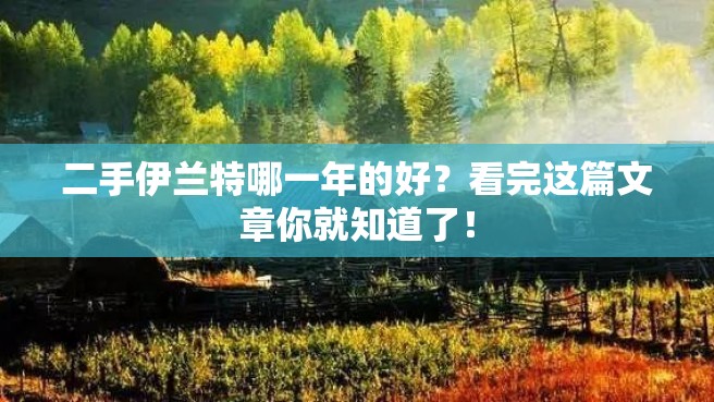 二手伊兰特哪一年的好？看完这篇文章你就知道了！